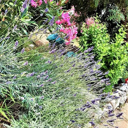 Διαμέρισμα Belleview Vrbica *